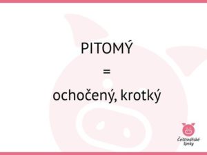 kartičky - krotký